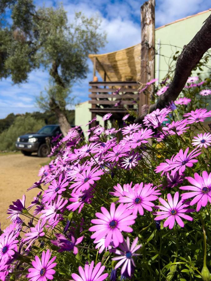 La Pampa Cargese Chambres D Hotes Екстериор снимка